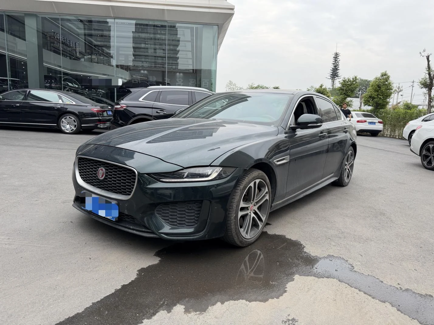 Jaguar XEL