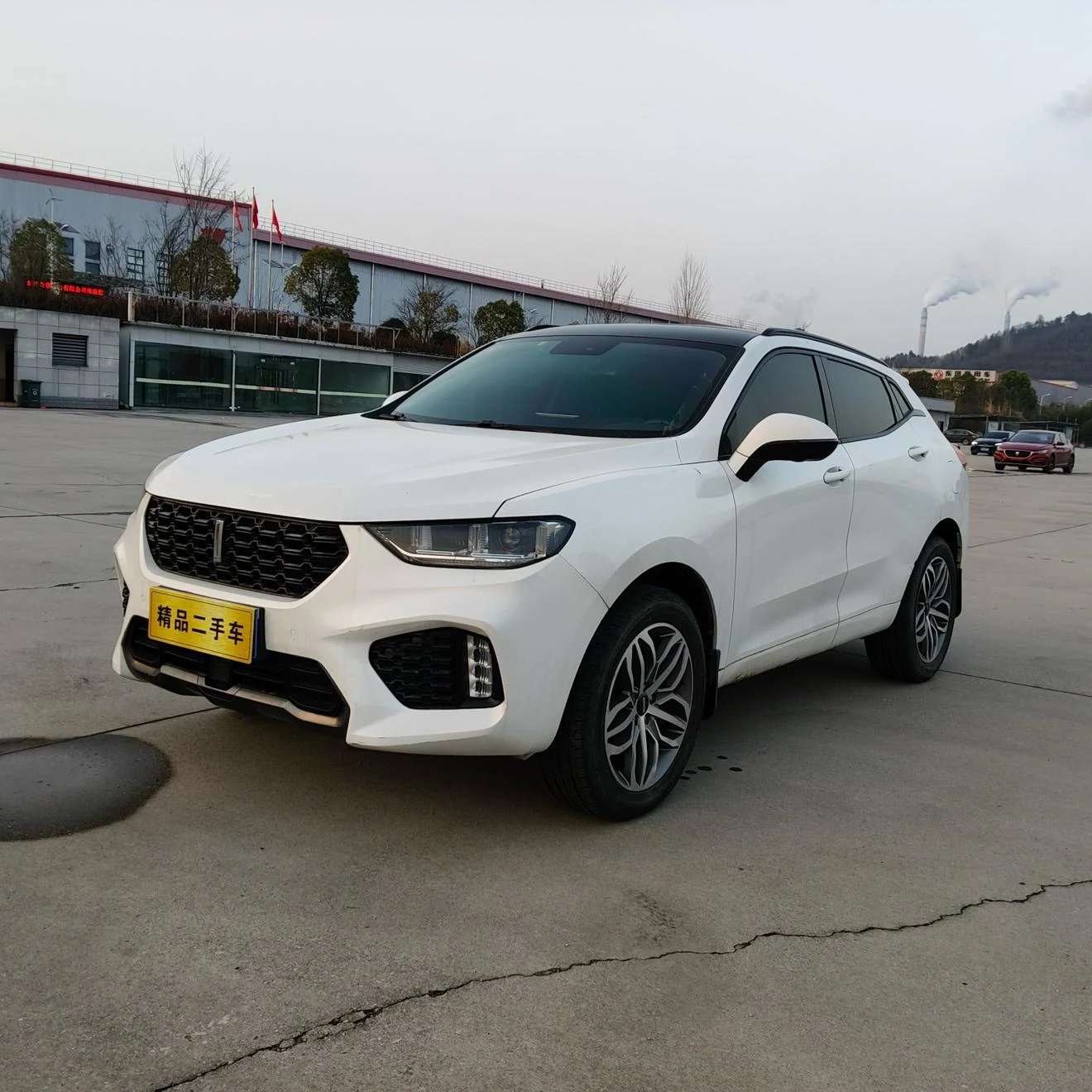 Wey VV5