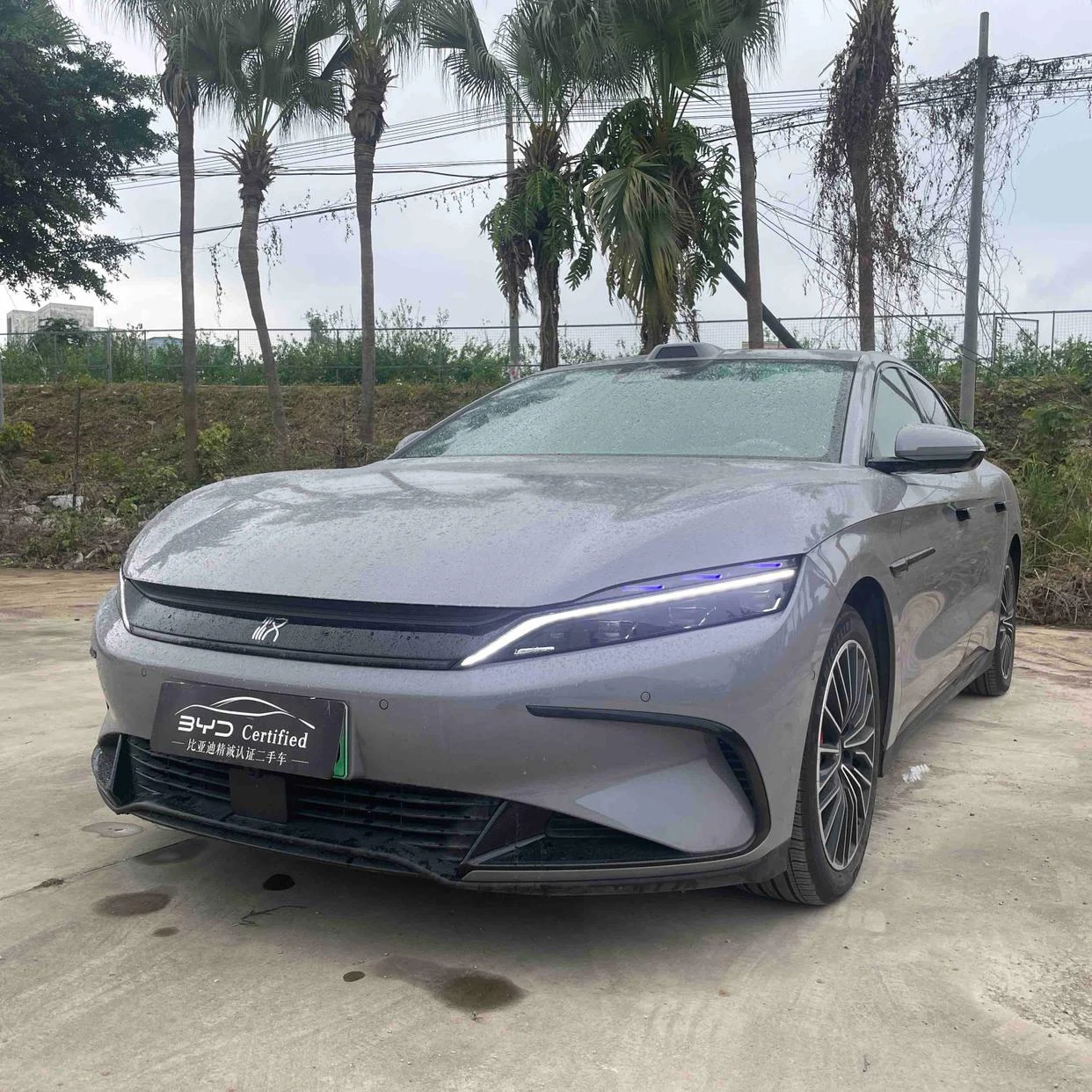 BYD HanEV
