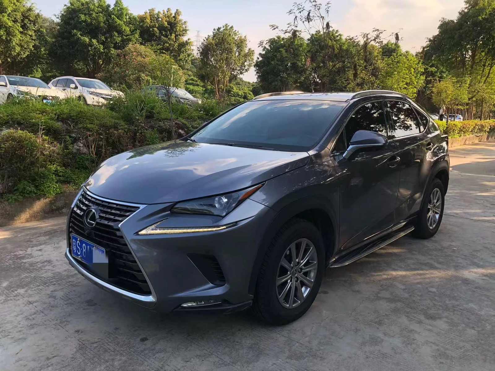 Lexus NX