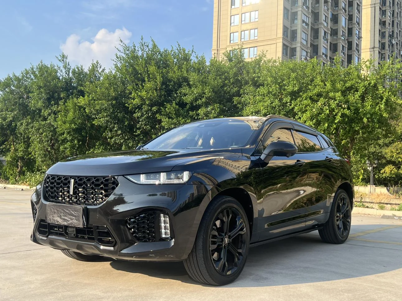 Wey VV7