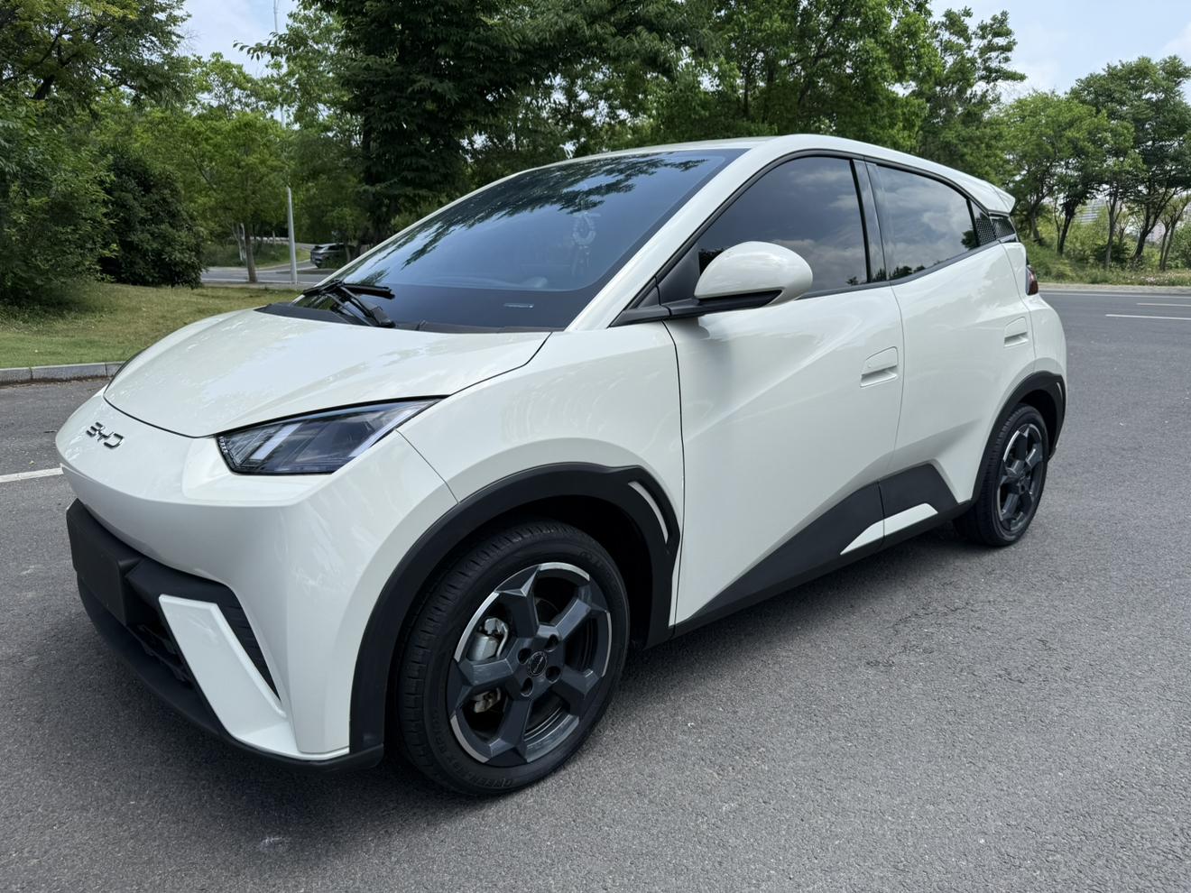 BYD Seagull