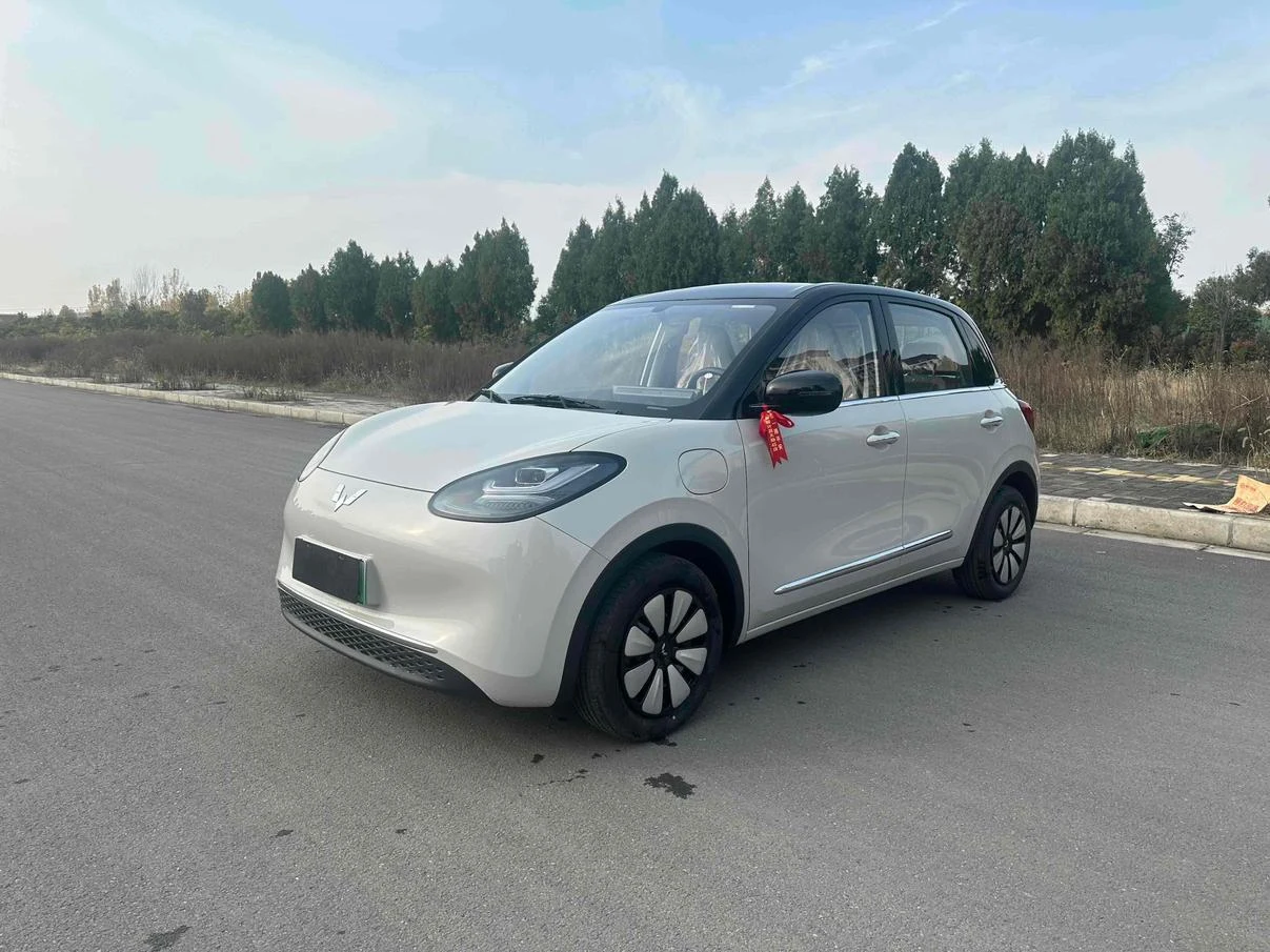 Wuling Binguo