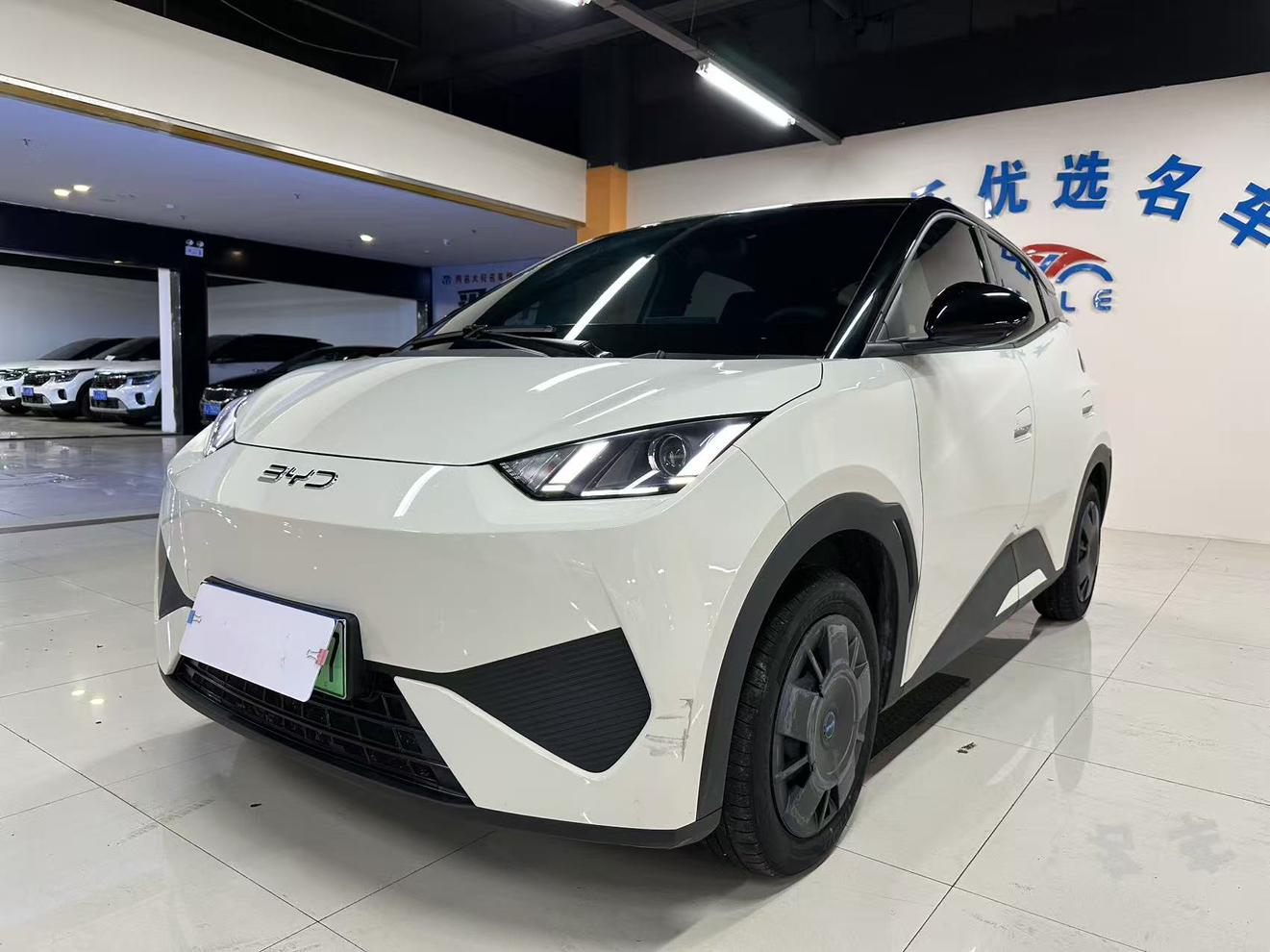 BYD Seagull