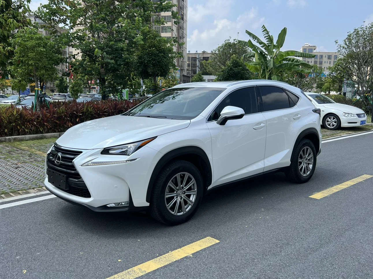Lexus NX