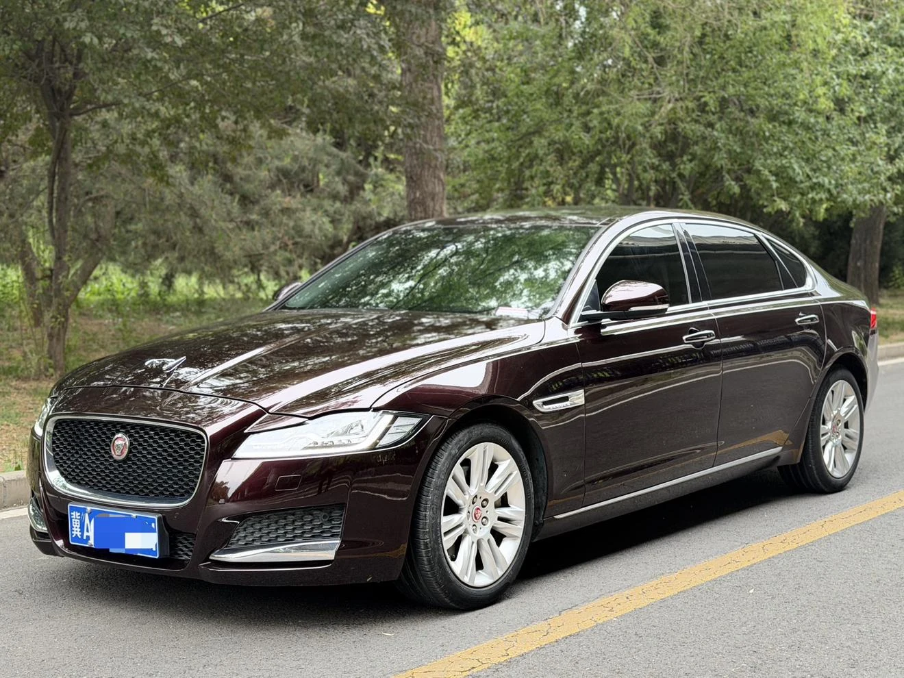 Jaguar XFL