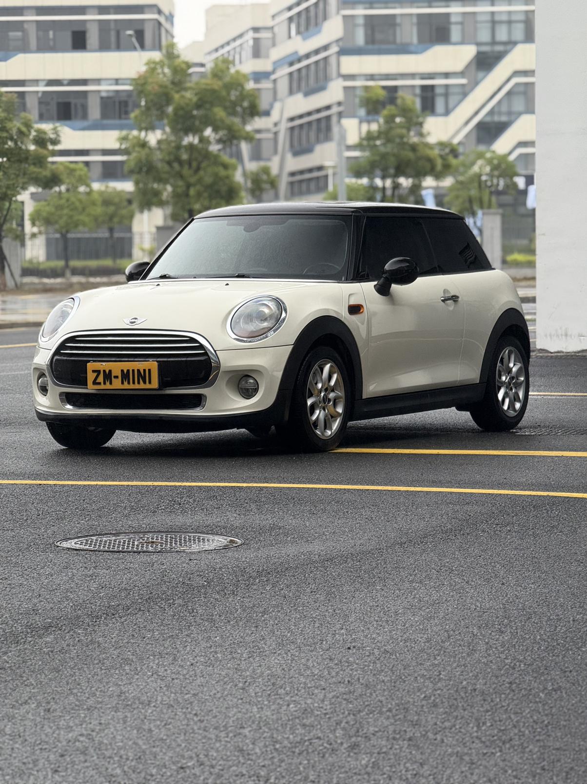 Mini Mini