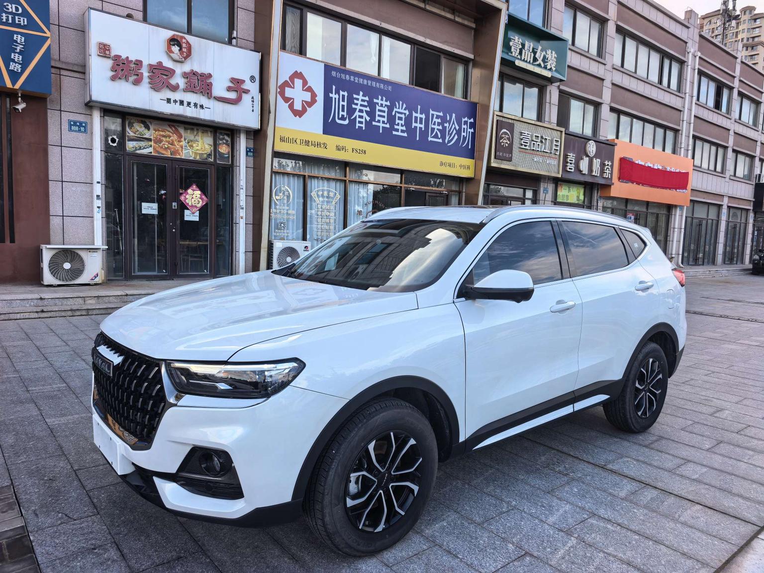 Haval H6