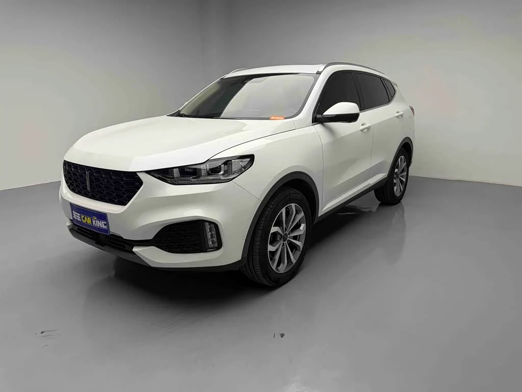 Wey VV6