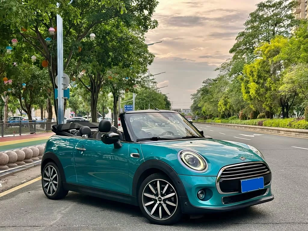 Mini Mini