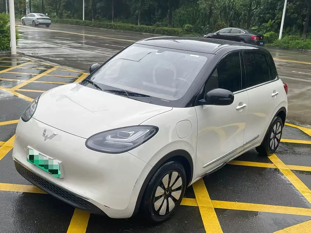 Wuling Binguo