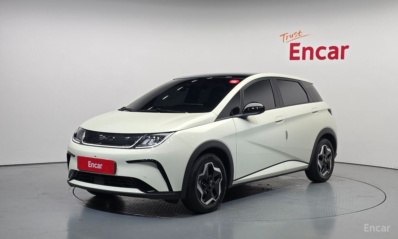 BYD Dolphin