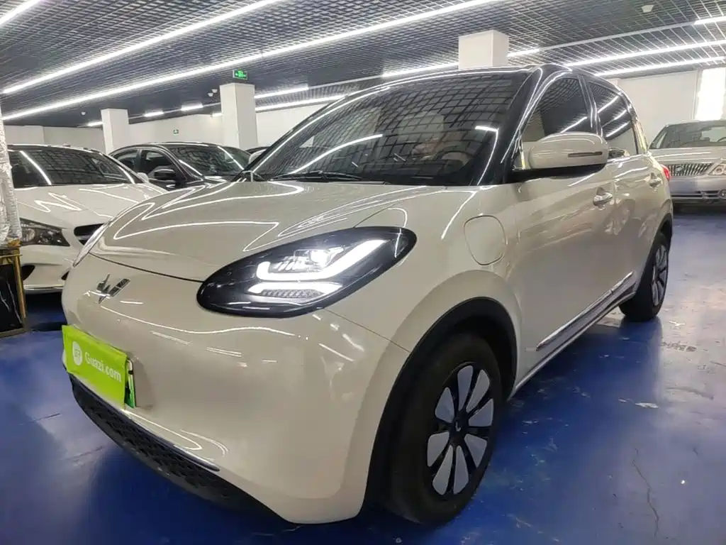 Wuling Binguo