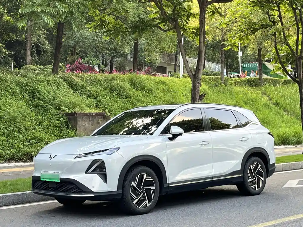 Wuling S