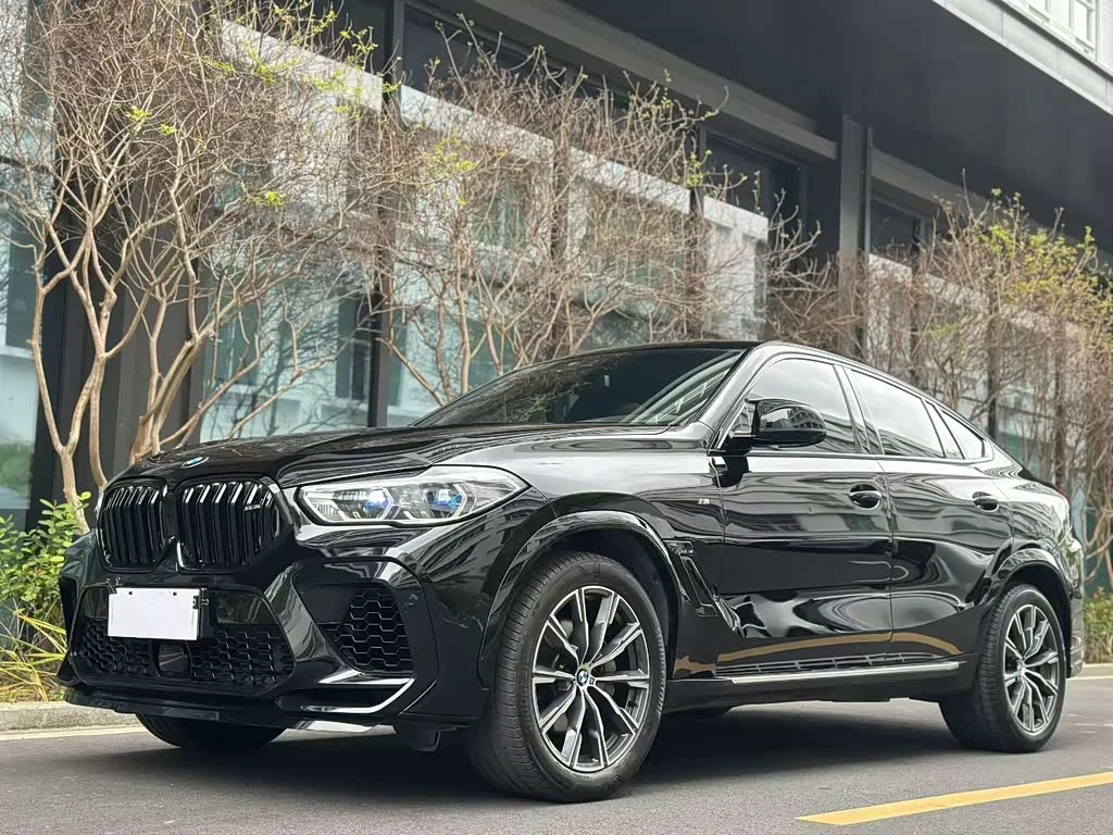 BMW X6