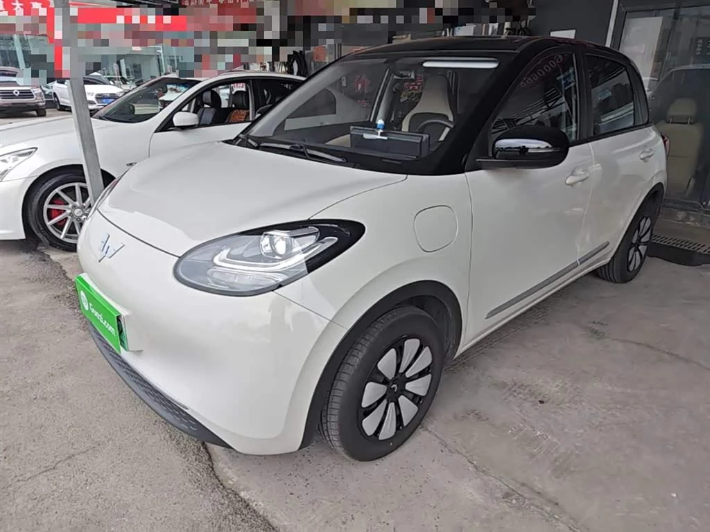 Wuling Binguo