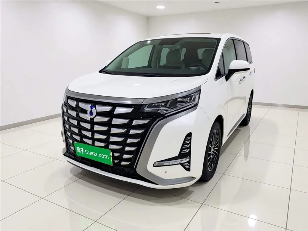 Denza D9