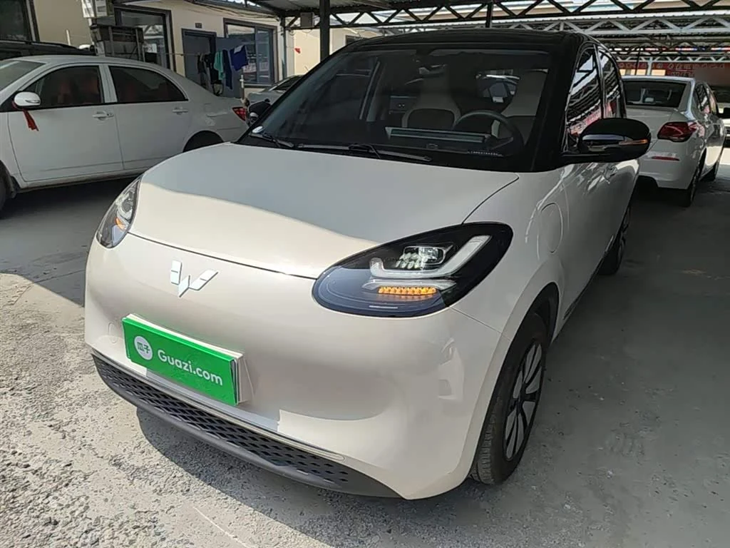 Wuling Binguo