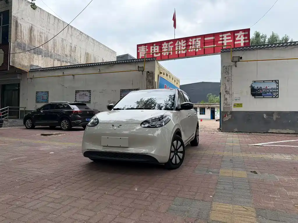 Wuling Binguo