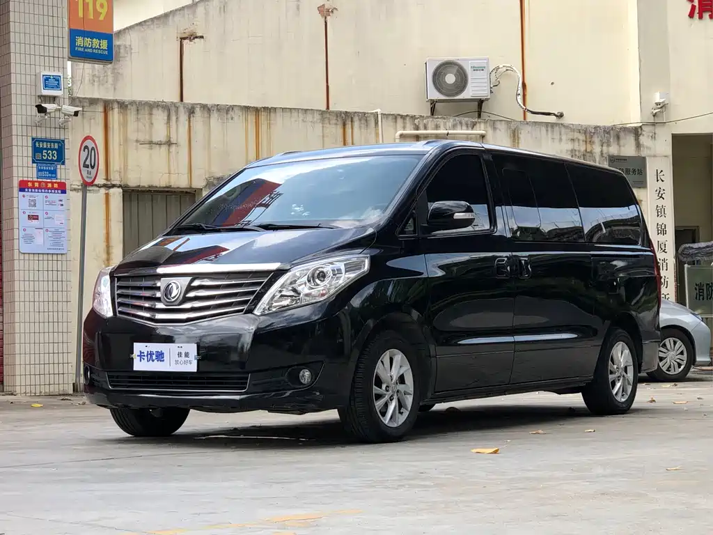 Forthing Lingzhi Plus