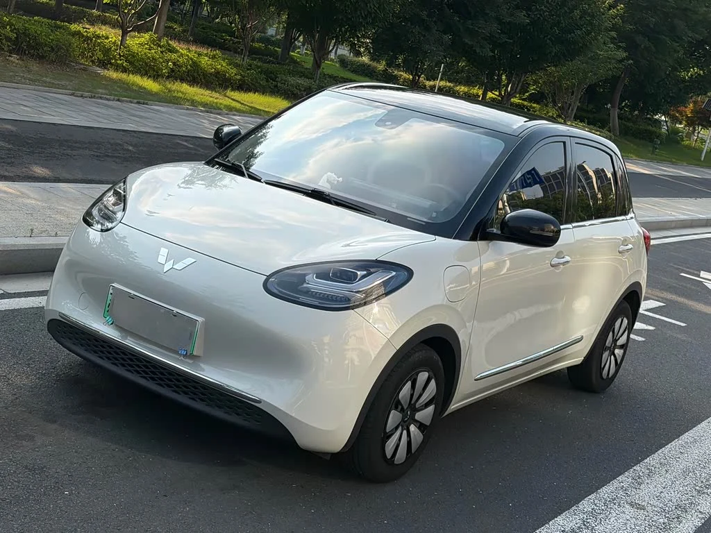 Wuling Binguo