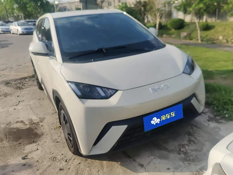 BYD Seagull