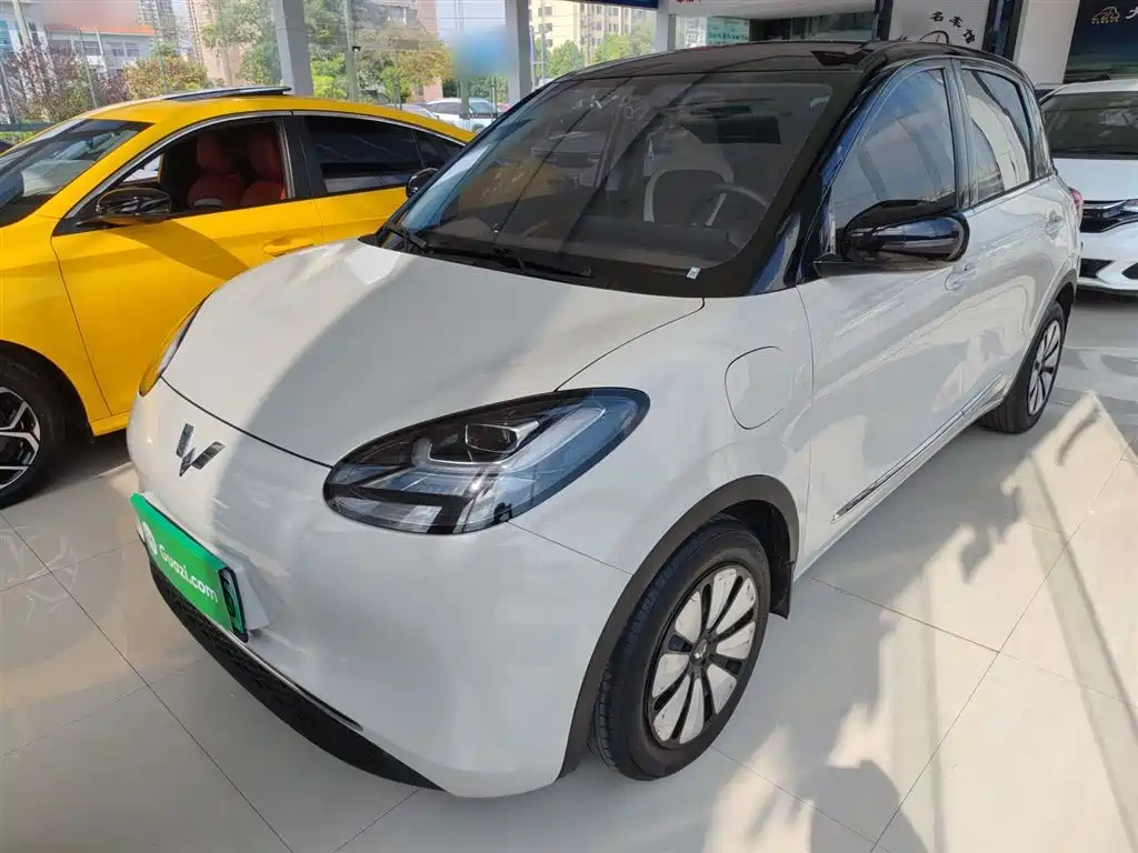 Wuling Binguo