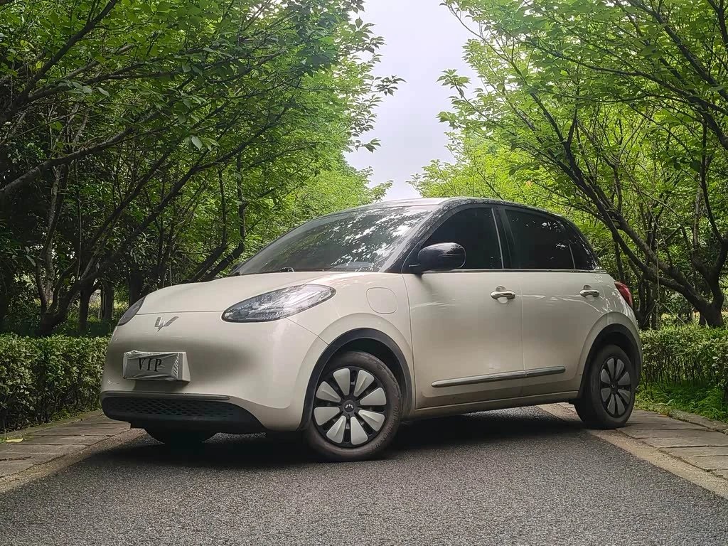 Wuling Binguo