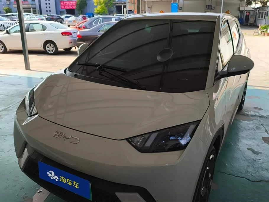 BYD Seagull