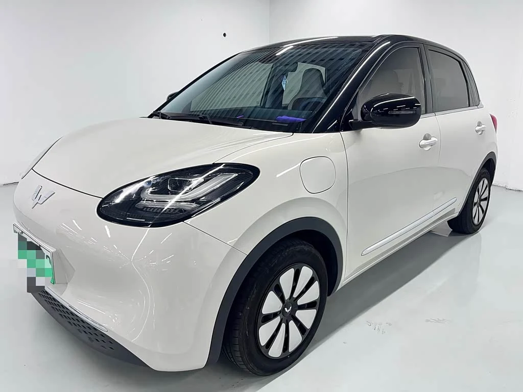 Wuling Binguo