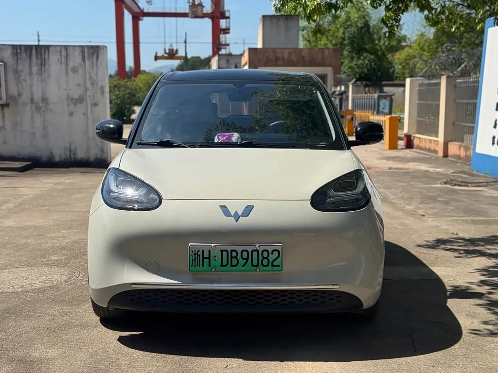 Wuling Binguo