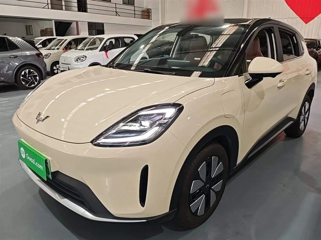 Wuling BinguoS