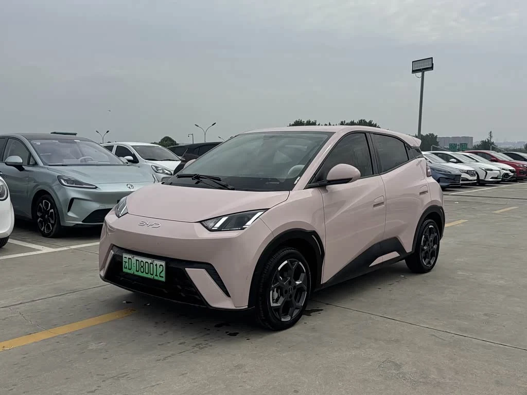 BYD Seagull