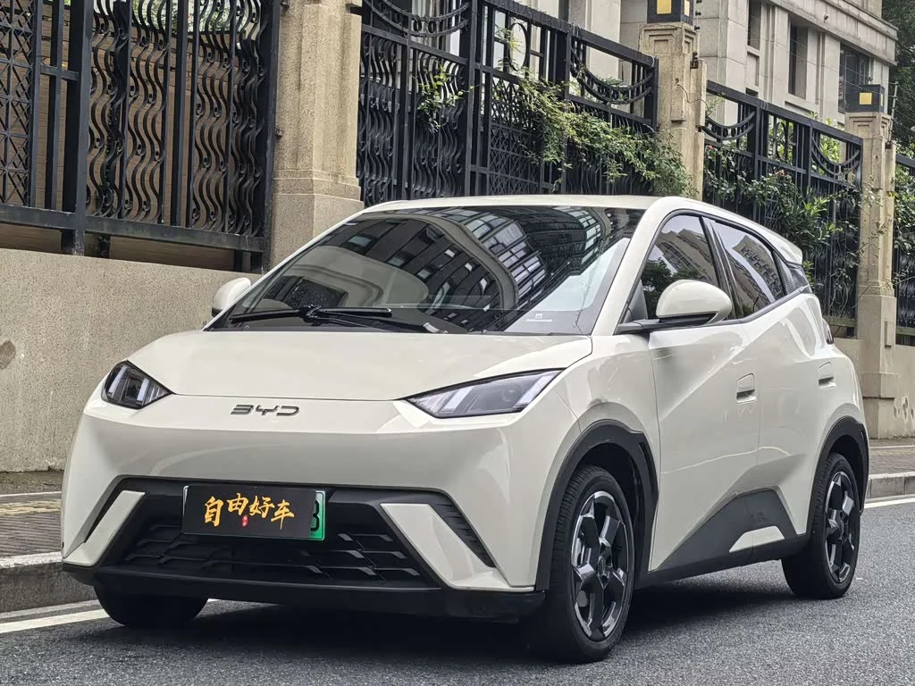 BYD Seagull