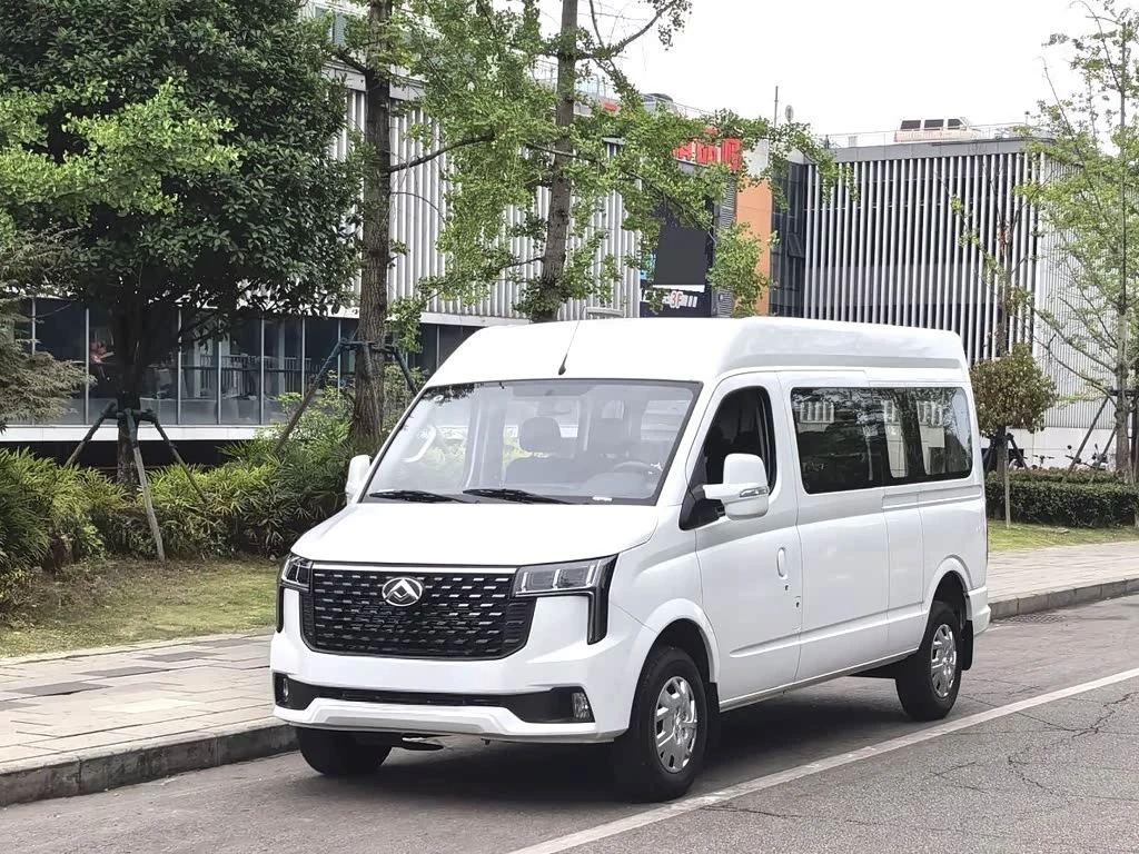 Maxus V80