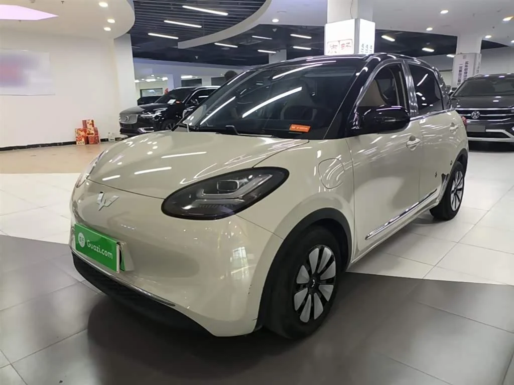 Wuling Binguo