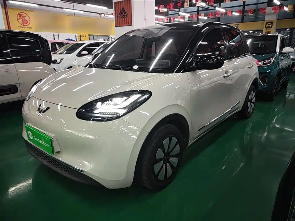Wuling Binguo