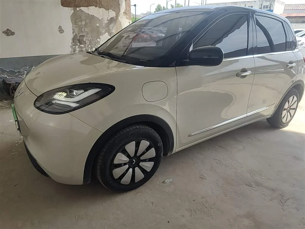Wuling Binguo