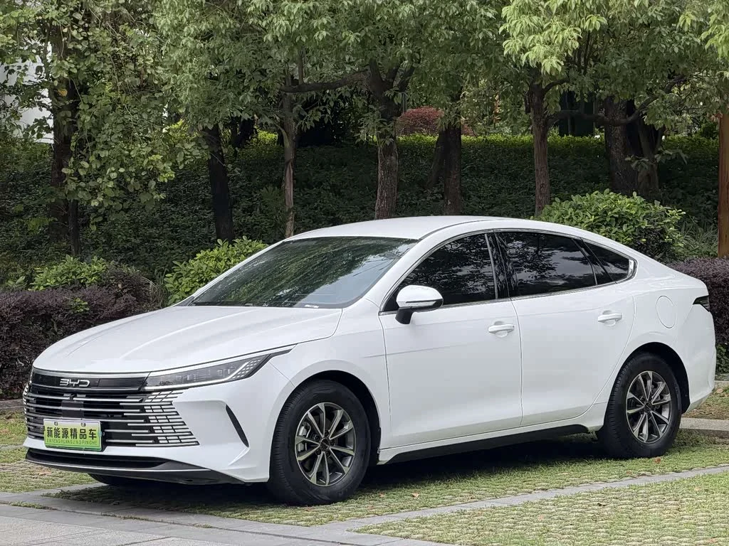 BYD Destroyer 05