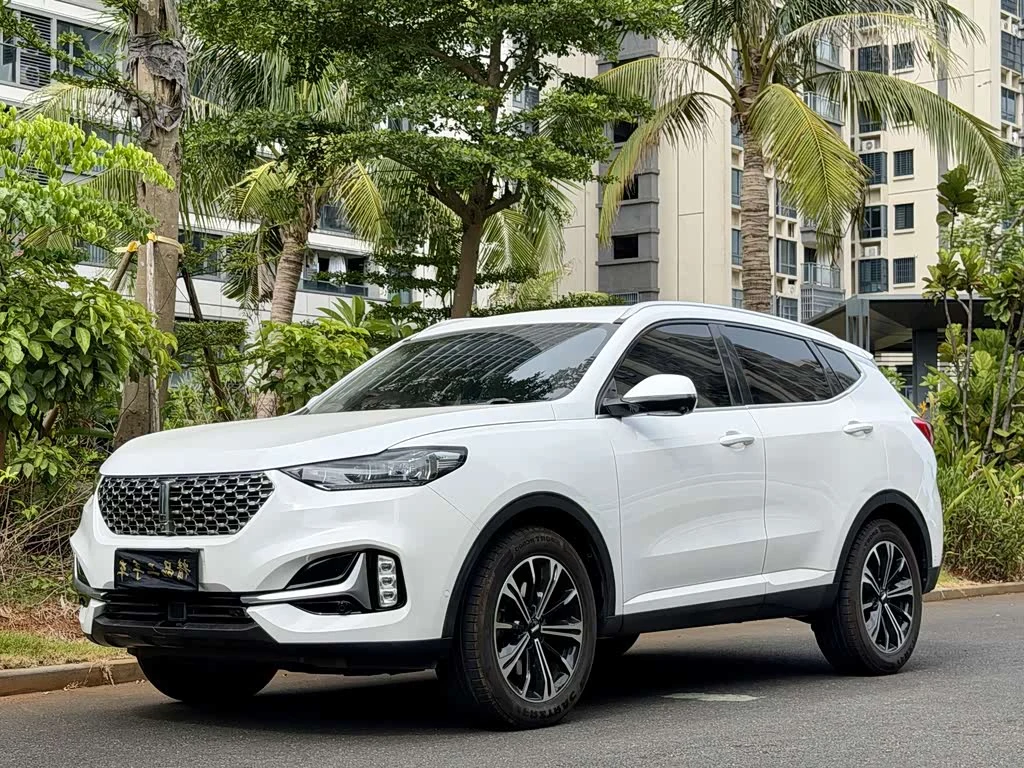 Wey VV6