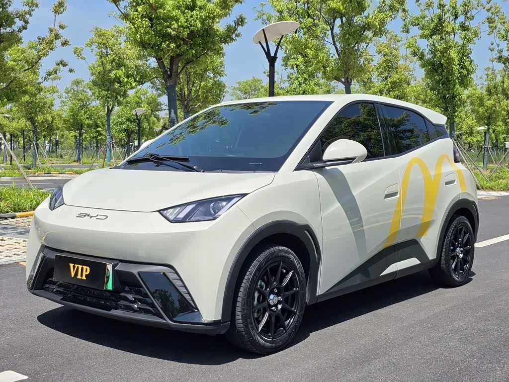 BYD Seagull