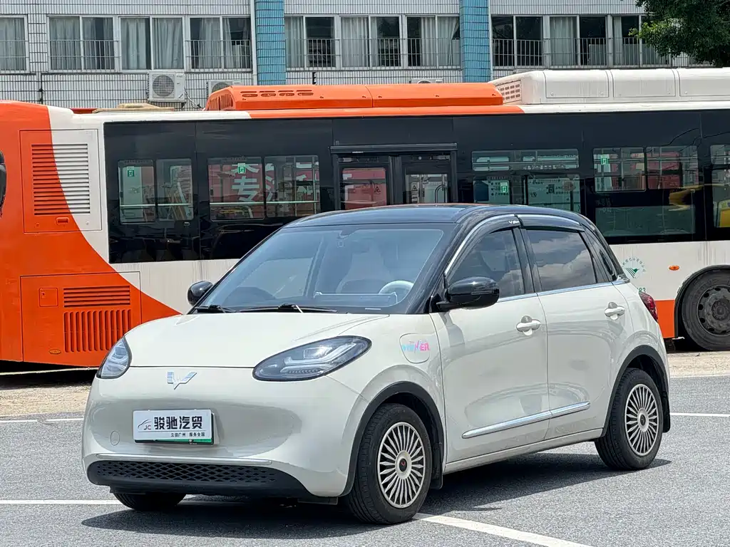 Wuling Binguo