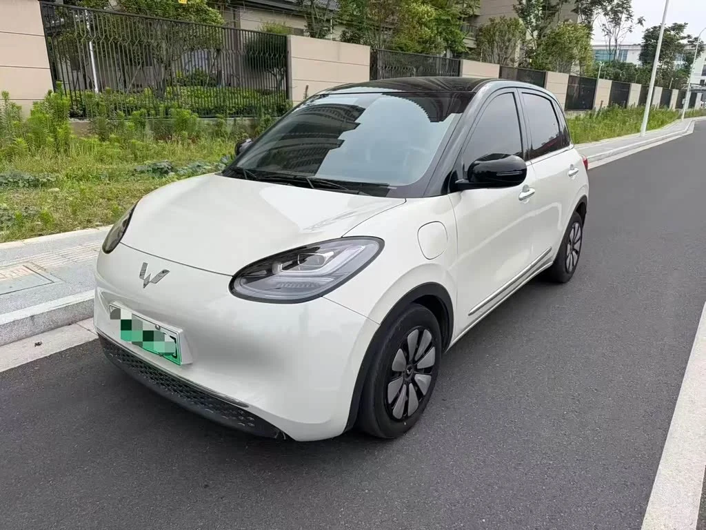 Wuling Binguo