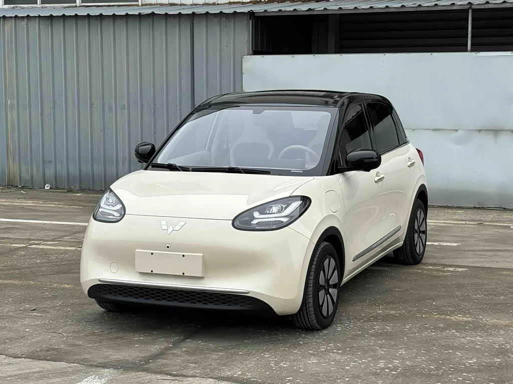 Wuling Binguo