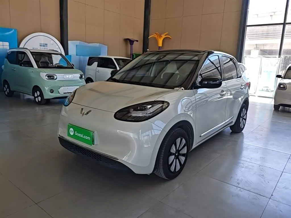 Wuling Binguo