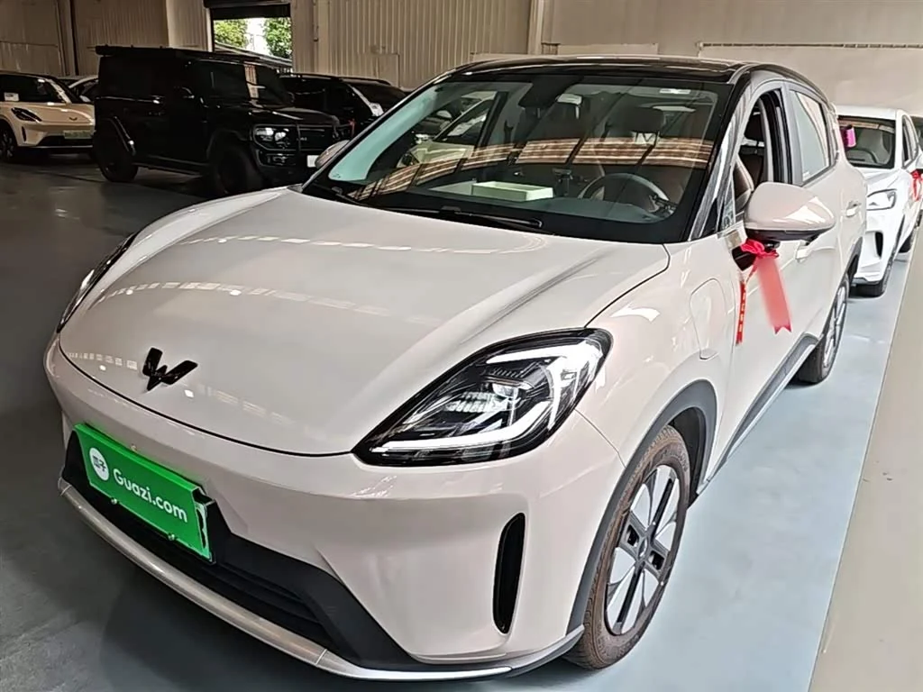 Wuling BinguoS