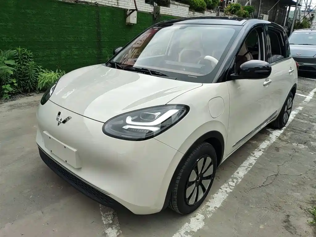 Wuling Binguo