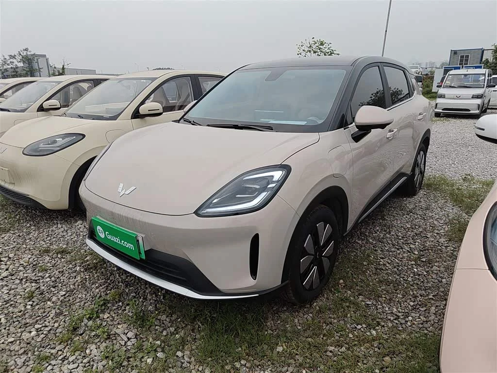 Wuling BinguoS