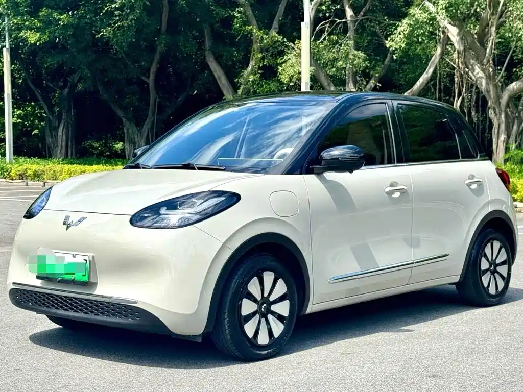 Wuling Binguo