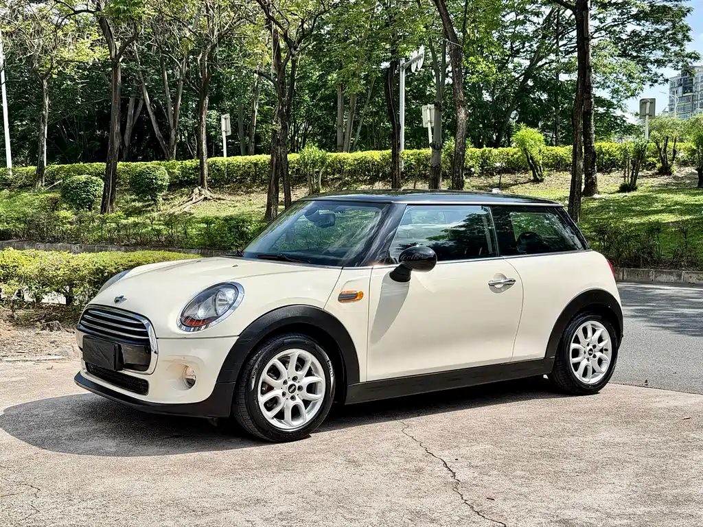 Mini Mini